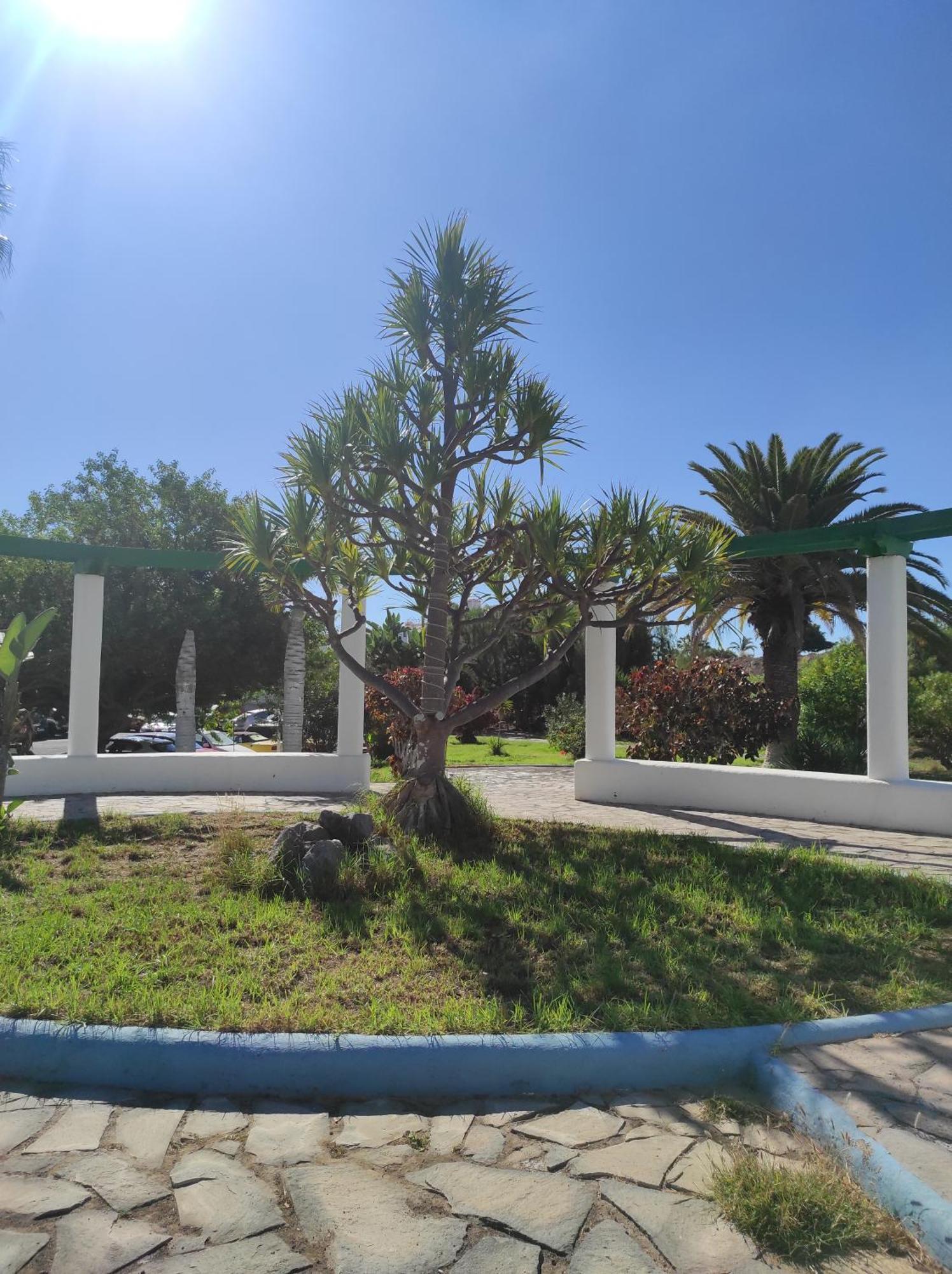 Maria Luxury Apartament Golf Del Sur Tenerife ซานมิเกลเดียโบนา ภายนอก รูปภาพ